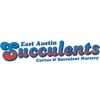East Austin Succulents gallery