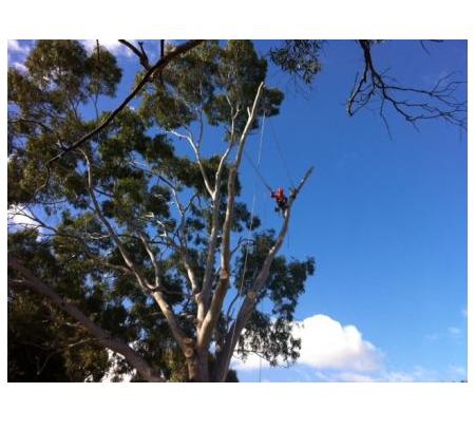 A1 Tree Service (NSW) Pty Ltd. - Dubbo, NSW