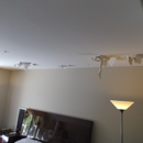 Water Damage Zone & Restoration, Inc - Water Damage Restoration