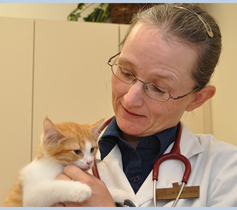 Mayde Creek Animal Clinic - Katy, TX