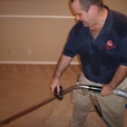 Best Carpet Cleaning Experts