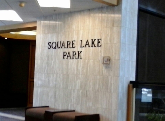 Square Lake Group - Bloomfield Hills, MI