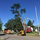 Robs Tree Service - Snow Removal Service