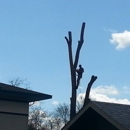 Arborman Tree Care, LLC - Arborists