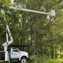 Heartwood Tree and Timber - Tree Service