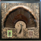 The Paint N' Paper Shoppe & Custom Picture Framing