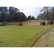 Gallery Image Number 3