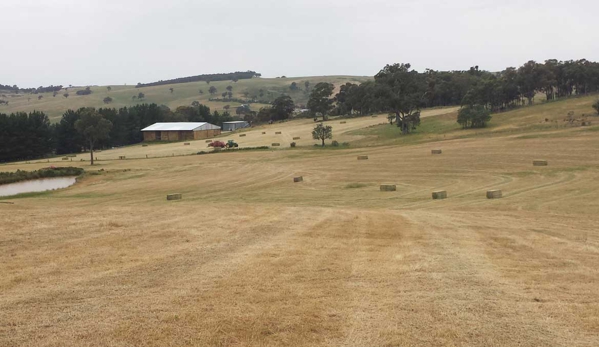 Chesterfield Transport - Marrar, NSW. Silage Transport