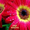 Daniela Sucre Photography gallery
