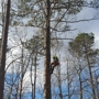 Spotswood Contracting & Tree Experts