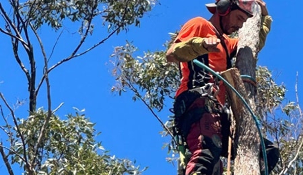 Micks Tree Worx - Coes Creek, QLD