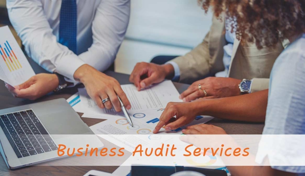Trilogy Professional Group - Erina, NSW. Business Audit Services