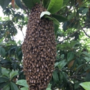 Beeuiful Bees - Beekeepers