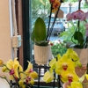 Beach Plum Flower Shop gallery