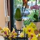 Beach Plum Flower Shop - Florists