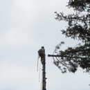 Mount Helena Tree Experts L.L.C. - Tree Service