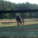 Clemson University Horse Center - Colleges & Universities