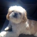 Sam Russell's Pet Provisions - Pet Boarding & Kennels
