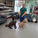 Summit Dog and Cat Hospital - Pet Services