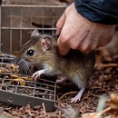 Kent's Pest Control - Pest Control Equipment & Supplies