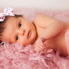 Oftedahl's Photography