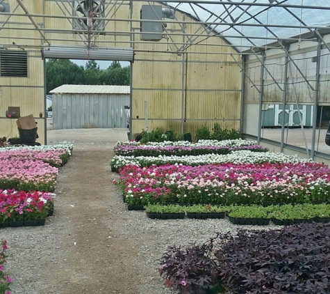 Dabney Nursery - Memphis, TN