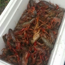 D & T Crawfish - Seafood Restaurants