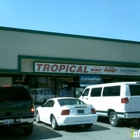 Tropical Market