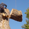 Professional Landscapers & Tree Removal