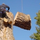 LOW COST STUMP GRINDING AND TREE WORK