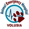 Animal Emergency Hospital- Volusia LLC gallery