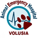 Animal Emergency Hospital- Volusia - Veterinarians