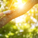 Carter Brothers Trees & Landscape Inc - Tree Service
