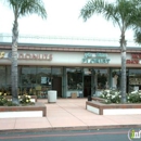 Glo White Florist - Flowers, Plants & Trees-Silk, Dried, Etc.-Retail