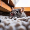 Palouse Empire Pest Control gallery