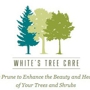 White's Tree Care & Pruning