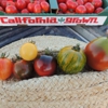 Mama's Meatball gallery