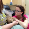 Hillside Animal Clinic gallery
