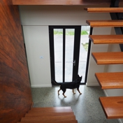 Gallery Image Number 3