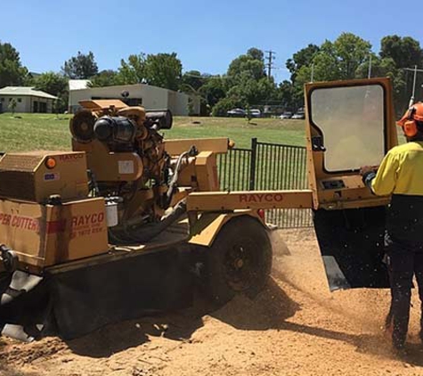 Curtis Tree Lopping Specialists - Wodonga, VIC