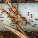 Metro Pest Management - Pest Control Equipment & Supplies