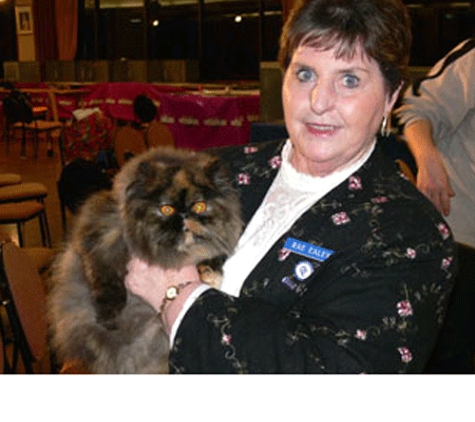 Canterbury Tails Boutique Boarding Cattery - Belgrave, VIC