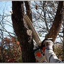 Aubrey's Tree Service & Landscaping - Tree Service