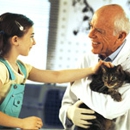 Town & Country Veterinary Clinic - Pet Services