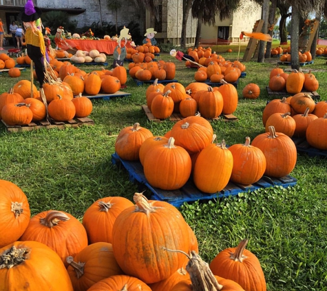 Miami Shores Presbyterian School - Miami Shores, FL