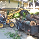 McKee Tree Service - Tree Service