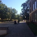 Stephen F Austin University