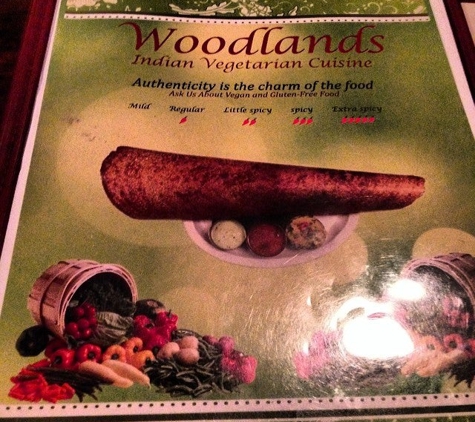 Woodlands Indian Vegetarian - Nashville, TN