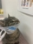Secret Harbour Veterinary Clinic - Dentists