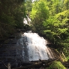 Anna Ruby Falls Visitor Center & Gift Shop gallery